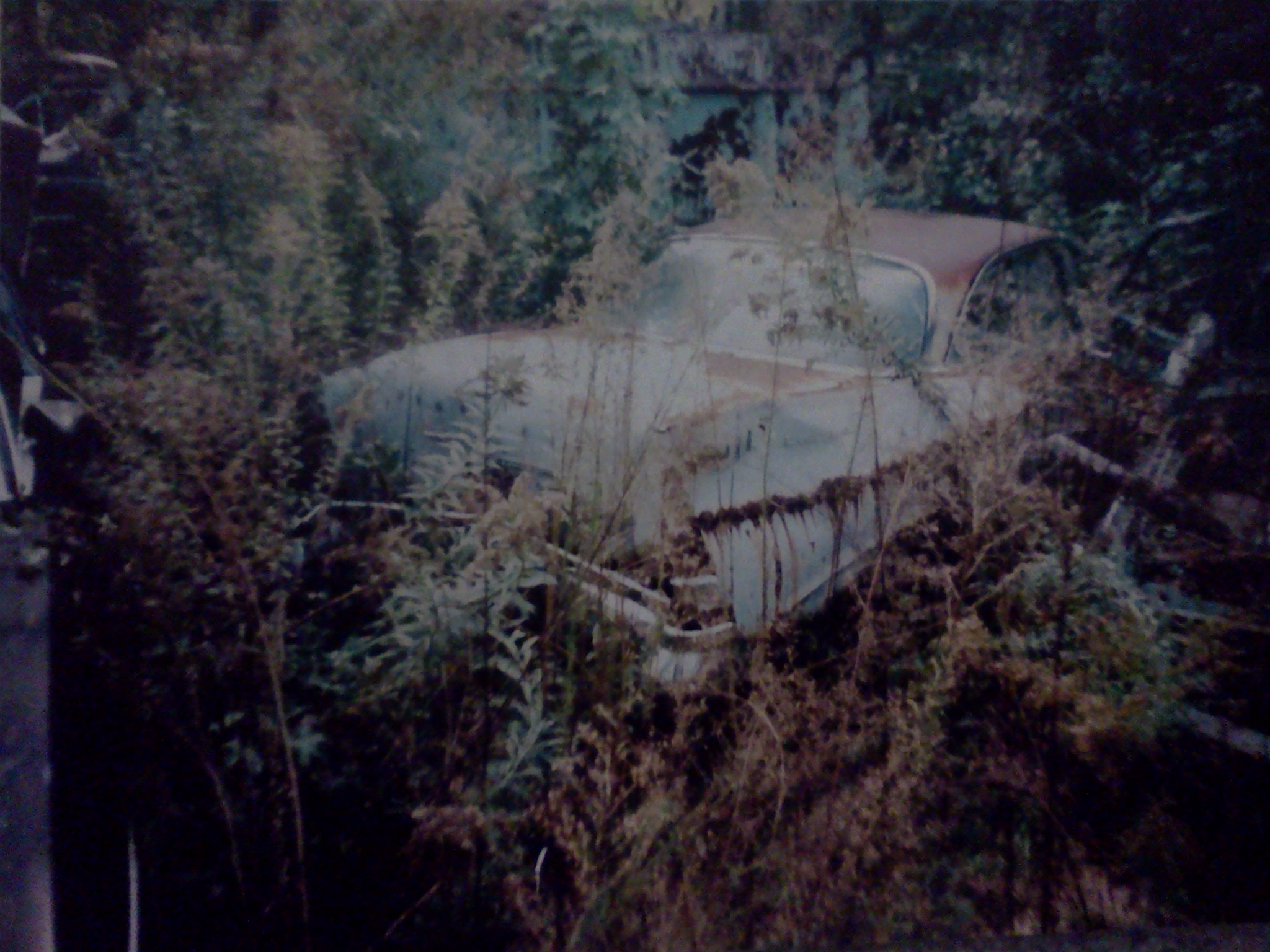 012215200446.jpg