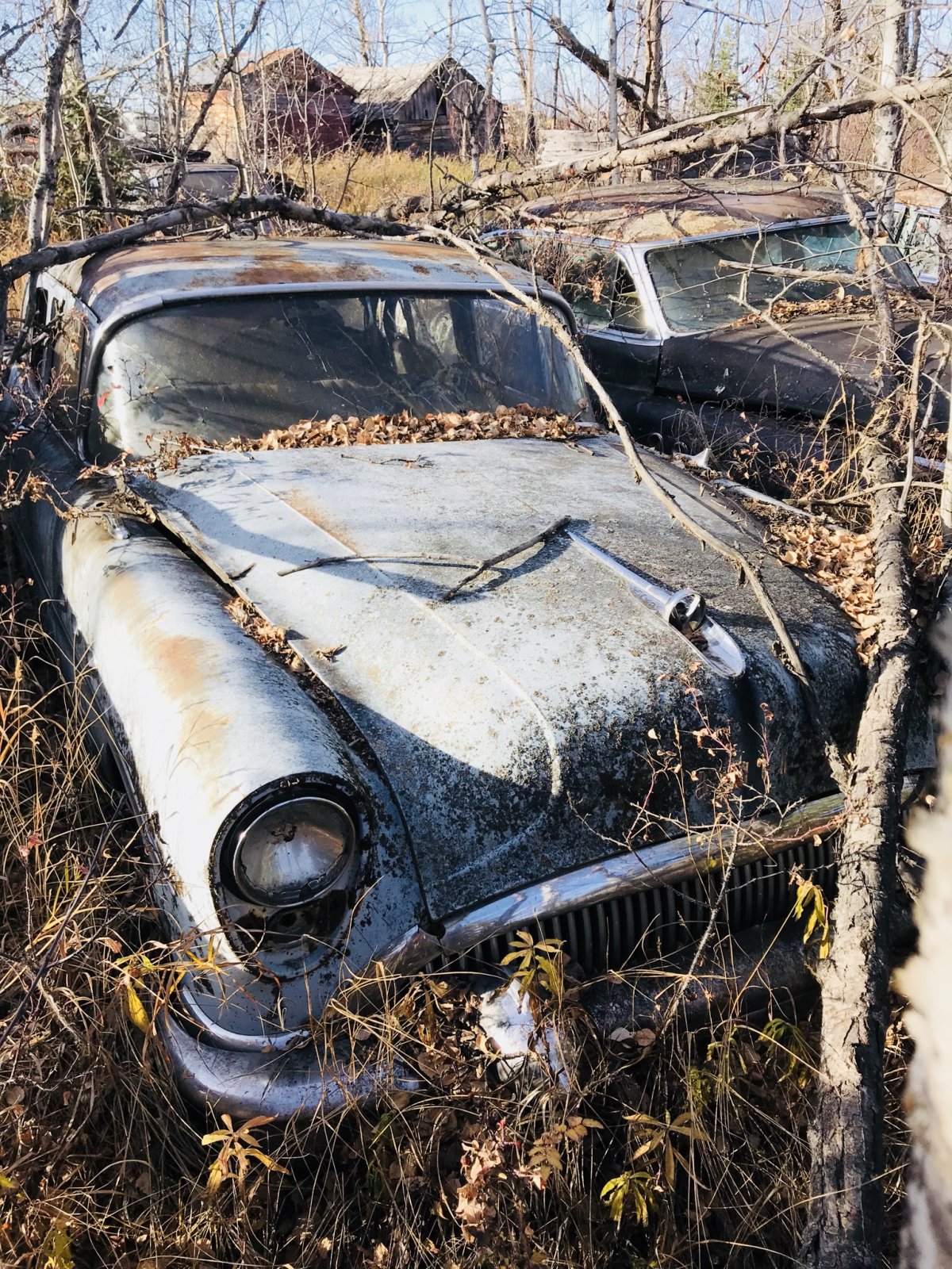 015C083F-607A-45DE-B7CF-ED69BA87B531.jpeg