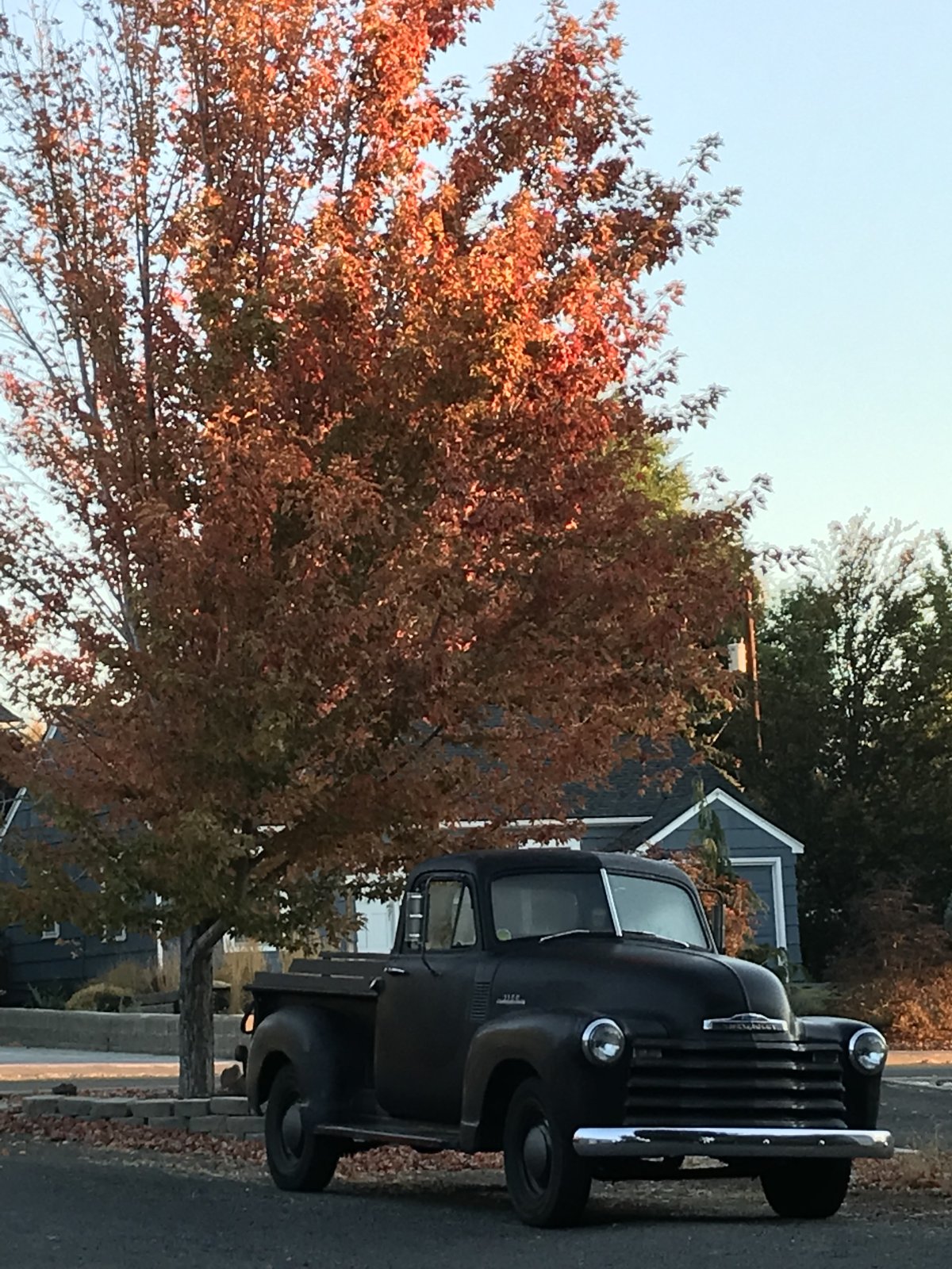 02021B33-D001-4611-A355-7915FA27B34D.jpeg