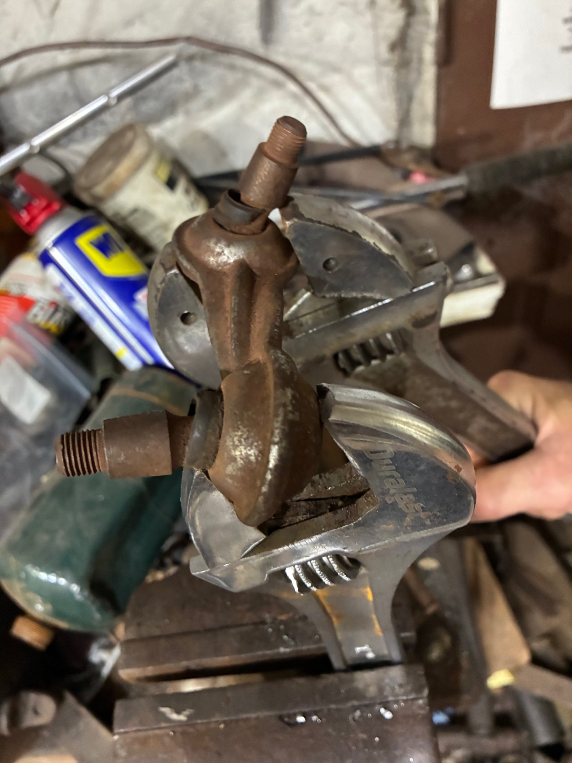 050EE2CB-084F-44ED-B4F2-F948F3E5C09C.JPG