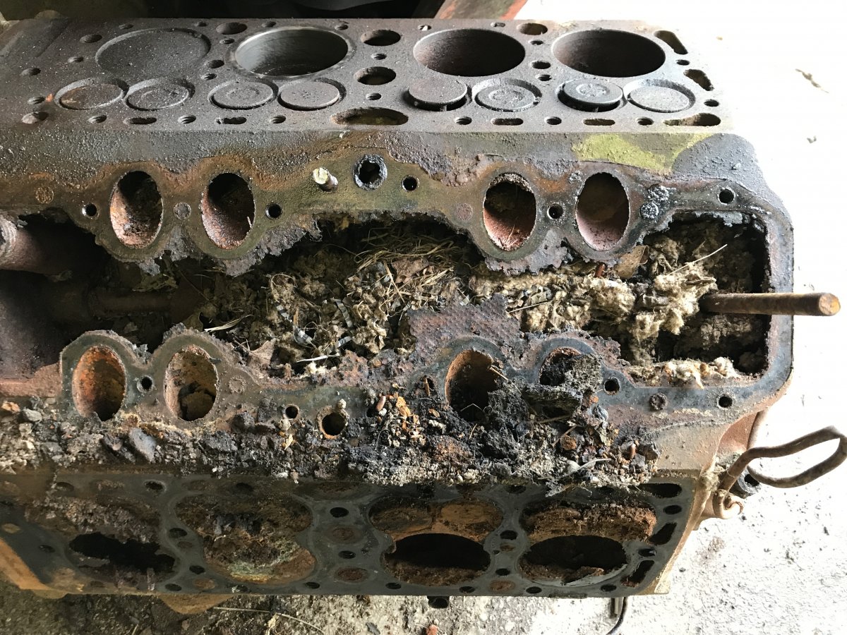 0543C32A-0E8B-4DCA-A503-E4244EA00D06.jpeg