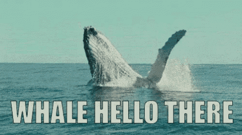 0835572C-19C3-474F-8E59-2E24DA97EF1F.gif
