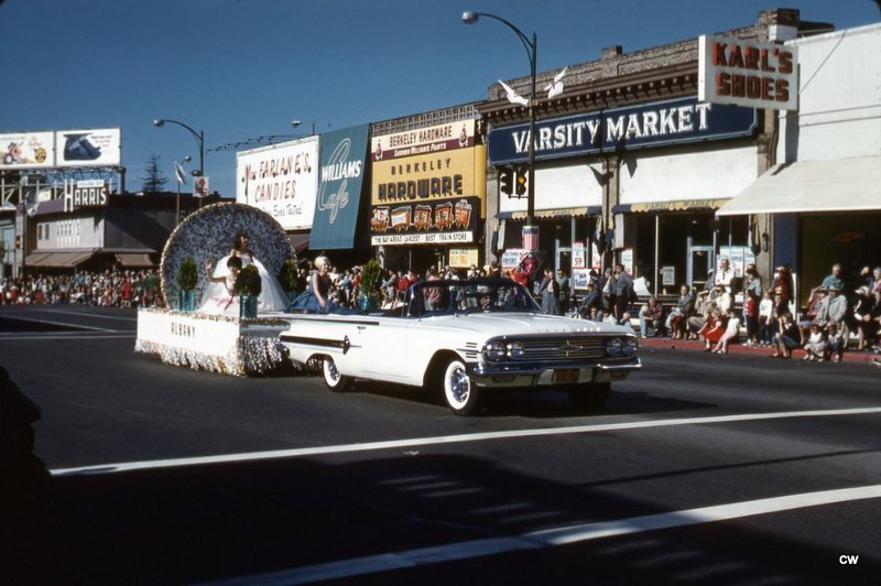 1 1 1 ADS (250).jpg