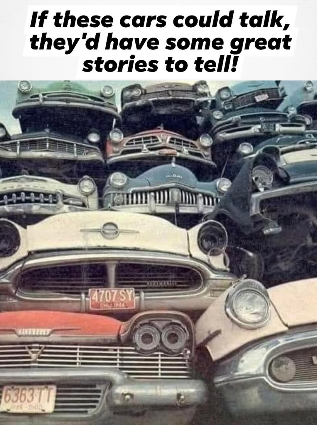 1 1 1 ADS (36).jpg