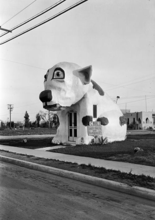 1 1 1 ADS (367).jpg