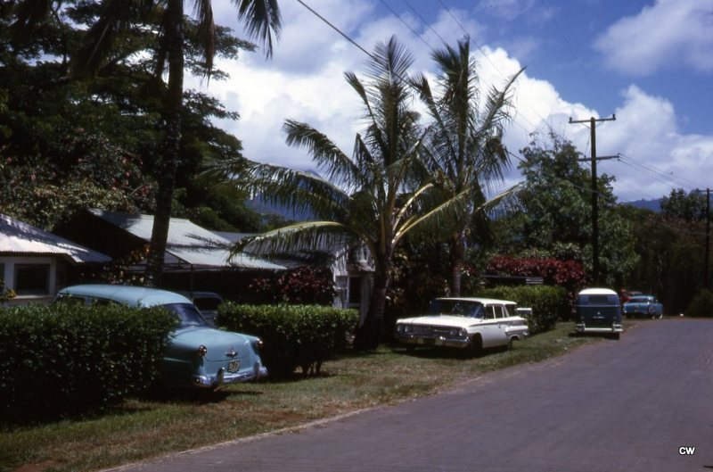 1 1 1 ADS 62 HAWAII (8).jpg