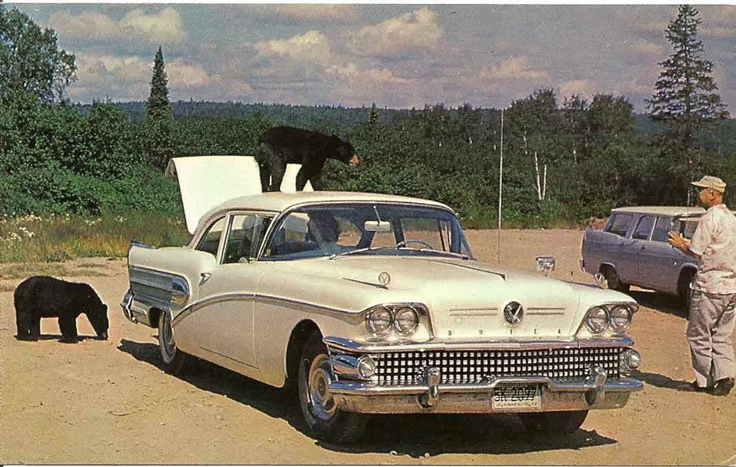 1 1 1 ADS (87).jpg