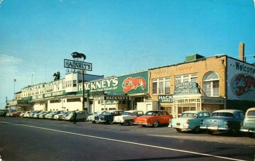 1 1 1 ADS (97).jpg