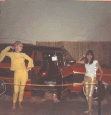 1 a car2.gif