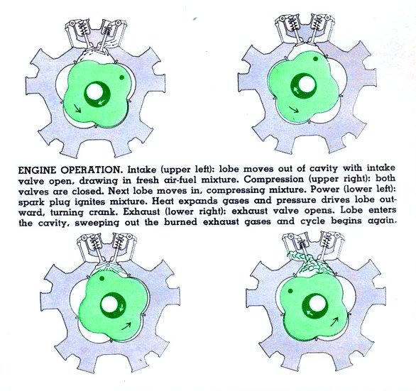 1 ram rot.jpg