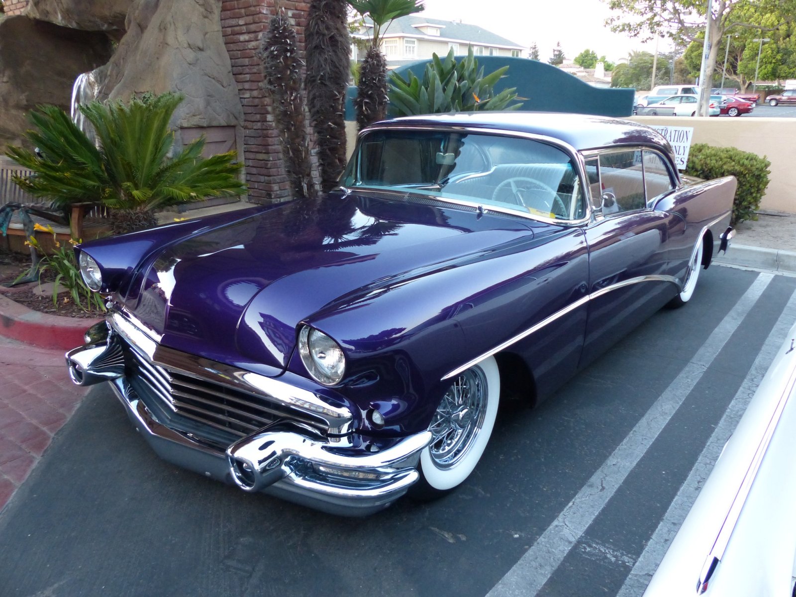 1 SM 2014 CHICO (9).jpg
