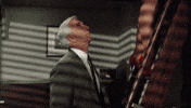 100.gif