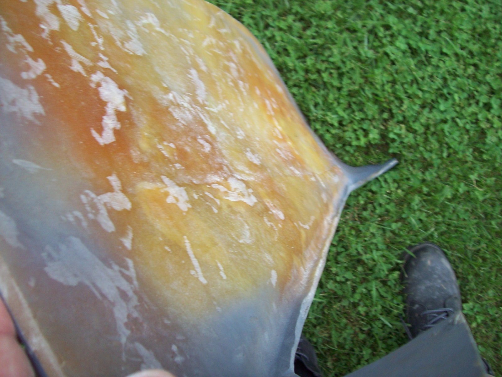 100_7006.JPG