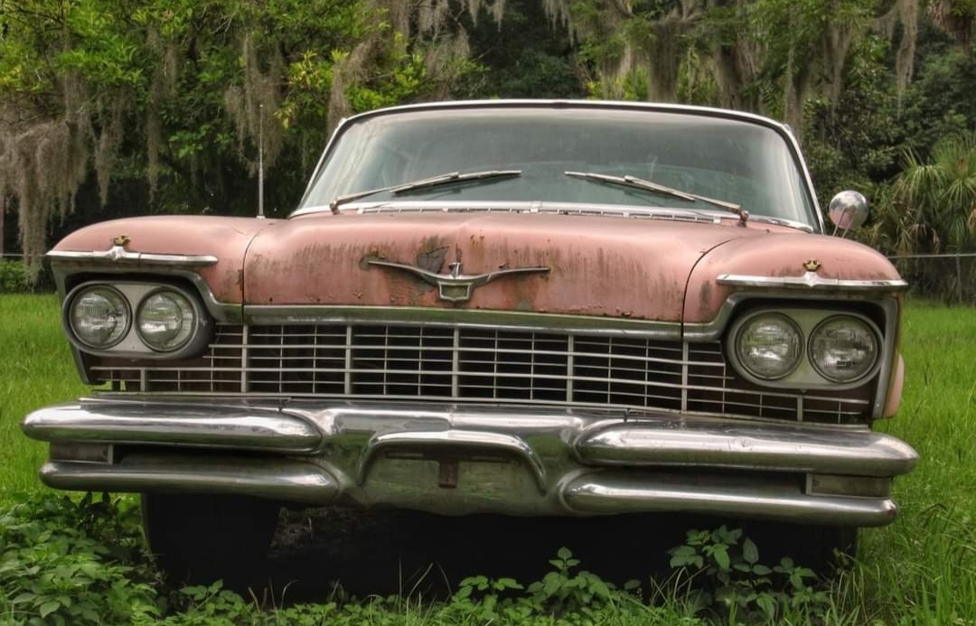 104335- micanopy fla.jpg