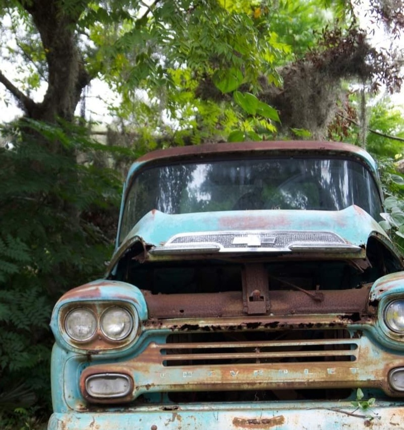 104615_micanopy fla.jpg