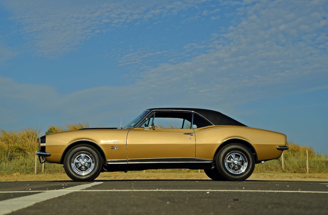 14-short-camaro-shortlow.jpg