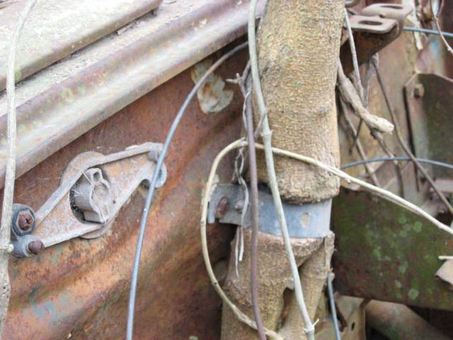 15-IMG_7602.jpeg