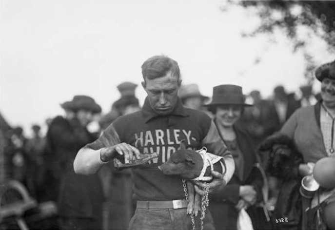 17 Harley-Davidson “Hog Boys” racer Ray Weishaar taking good care of the team mascot.1.jpg