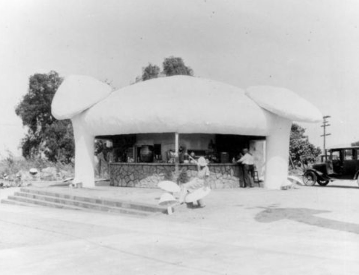 18 mushroom cafe.jpg