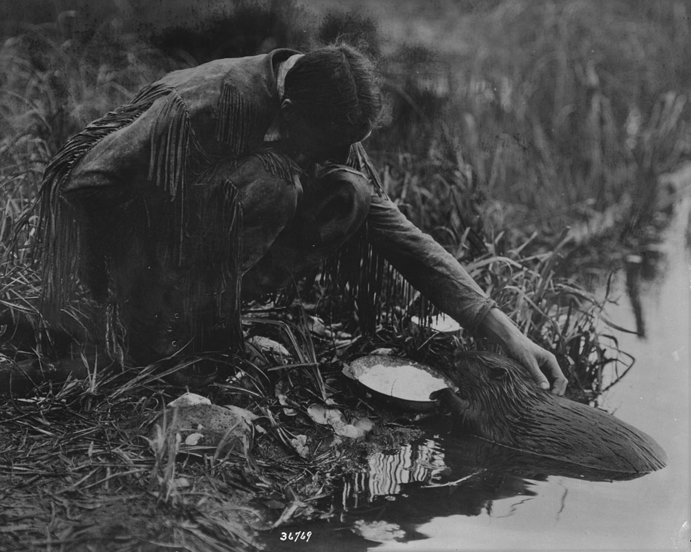 1931-11 Grey Owl feeding beaver 1931.jpg