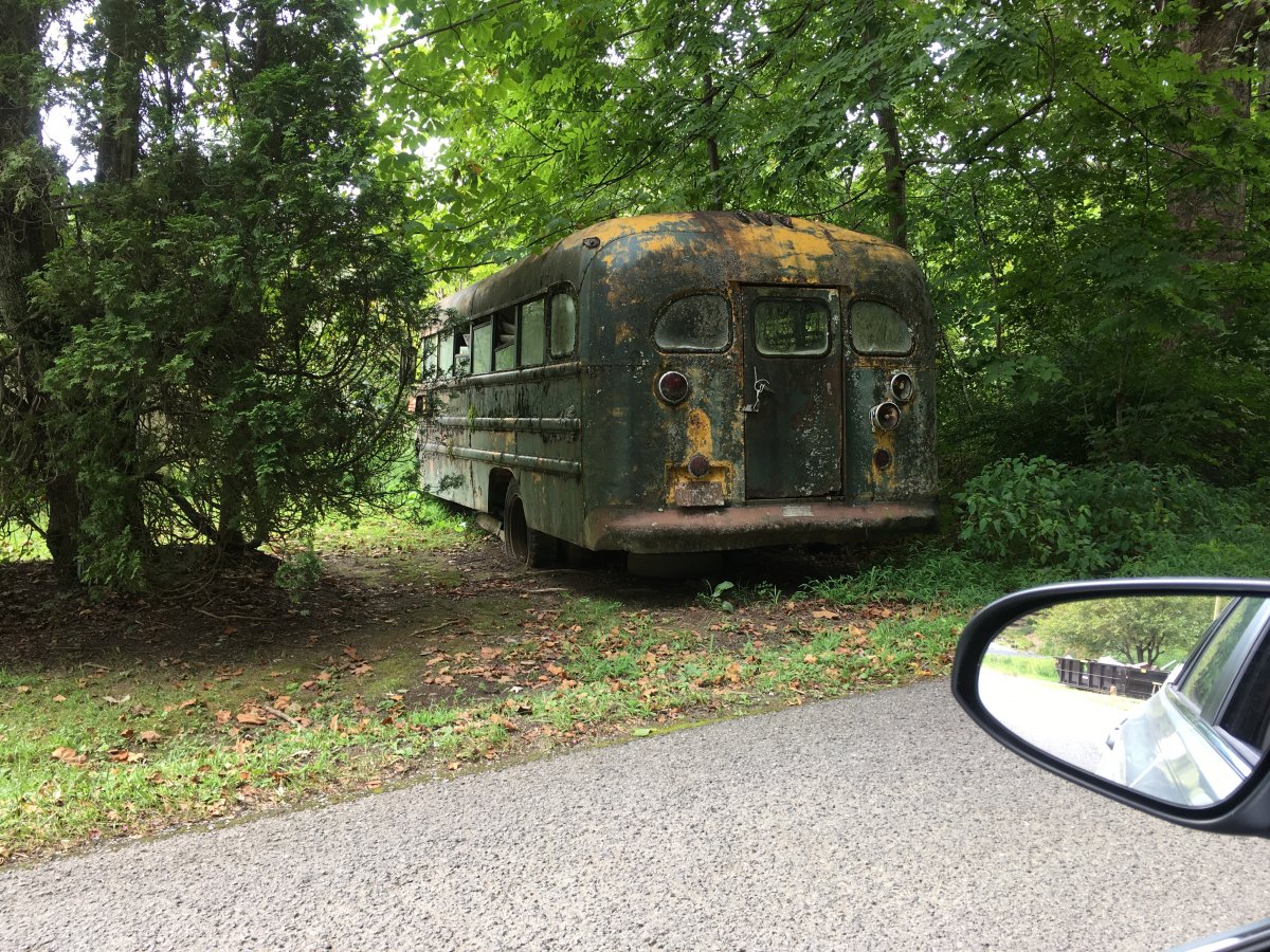 1948 Ford School bus rotting 1.JPG