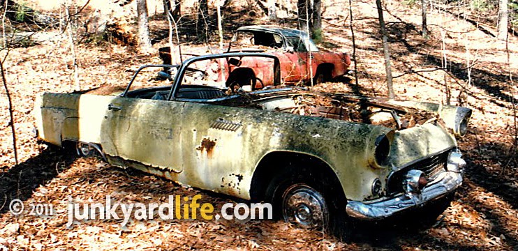 1955+Thunderbird+junkyard.jpg