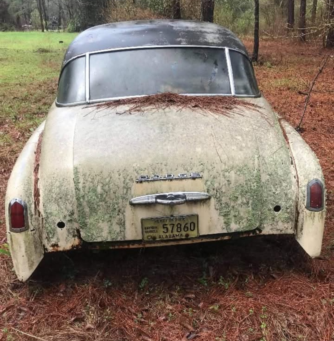 195807mt.olive.jpg