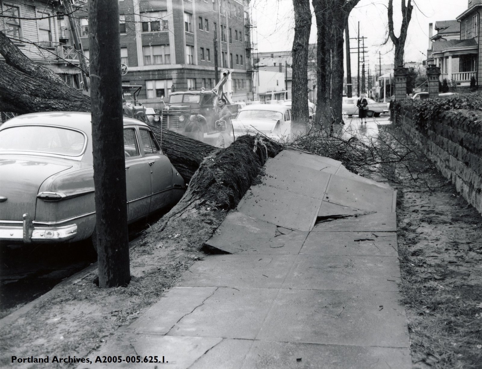 1958_fallen-tree-at-nw-17th-ave-and-nw-everett.jpg