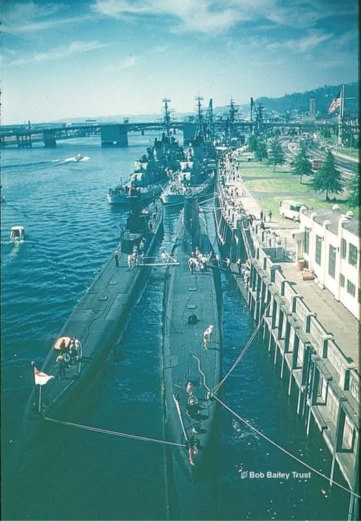 1963.jpg