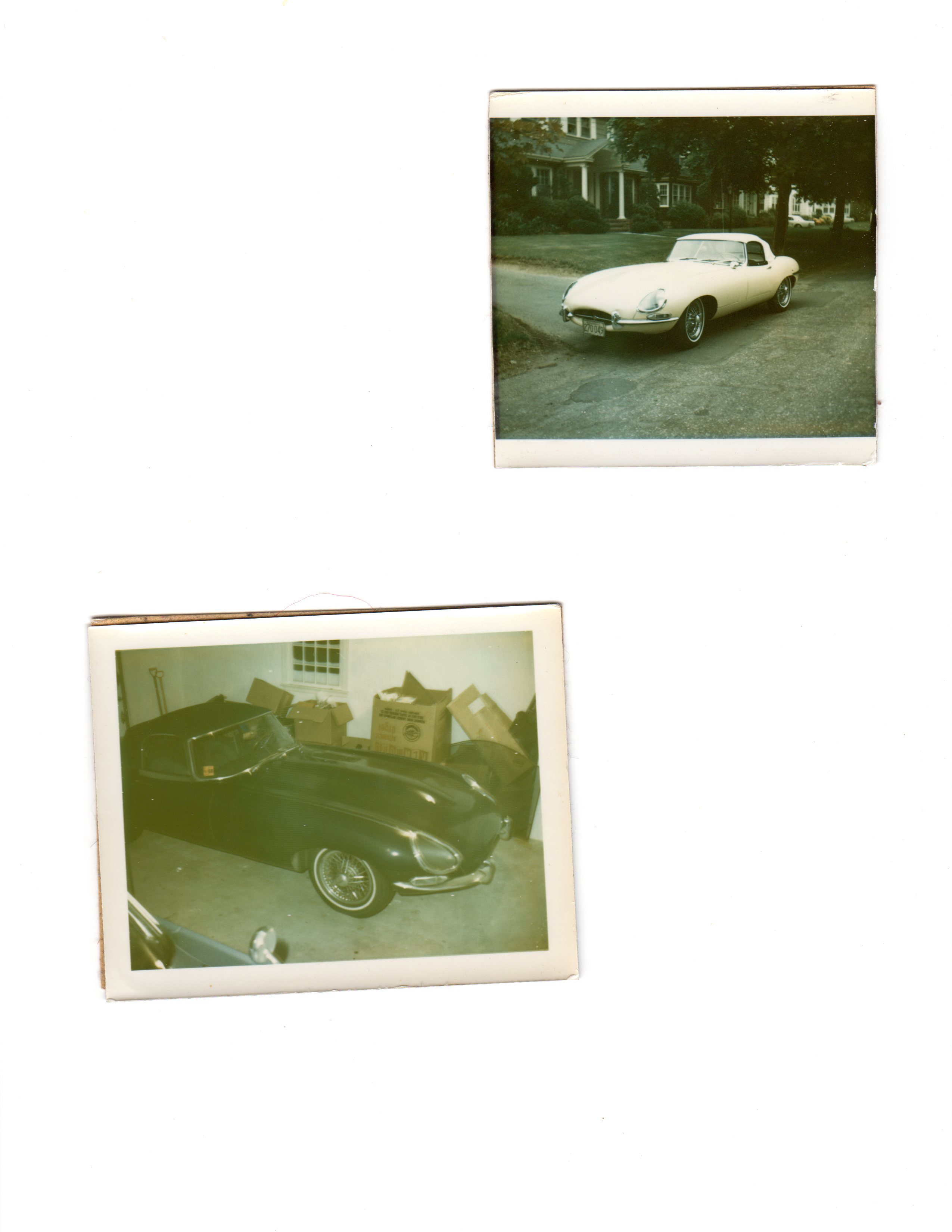 1964 XKE I owned around 1968-1969.jpg