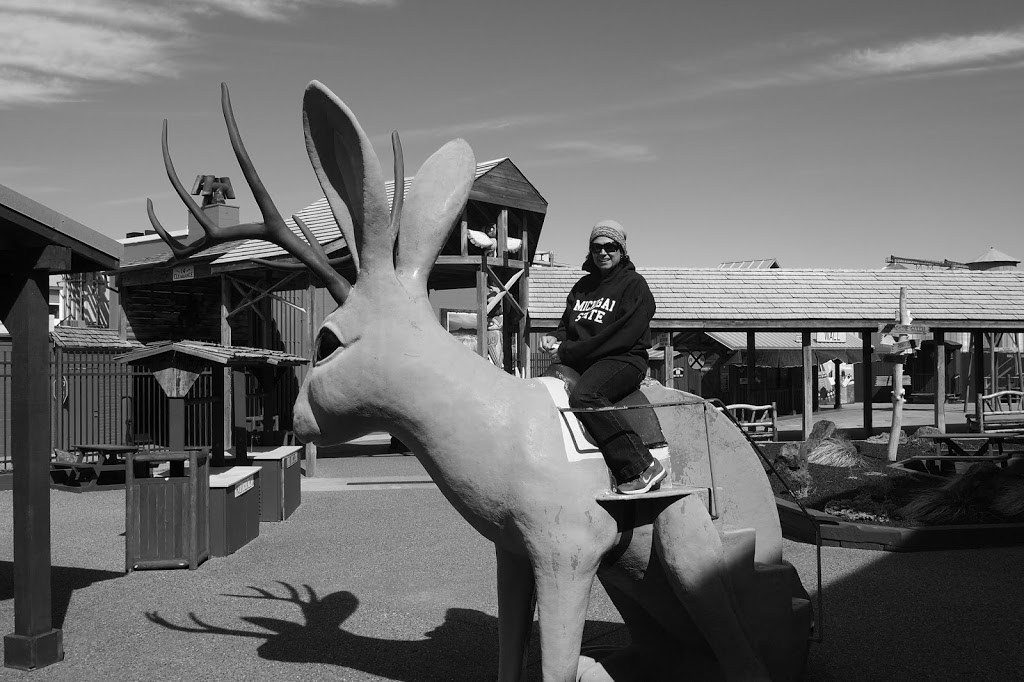 2013_04.30-Wall-lisa-jackelope.jpg