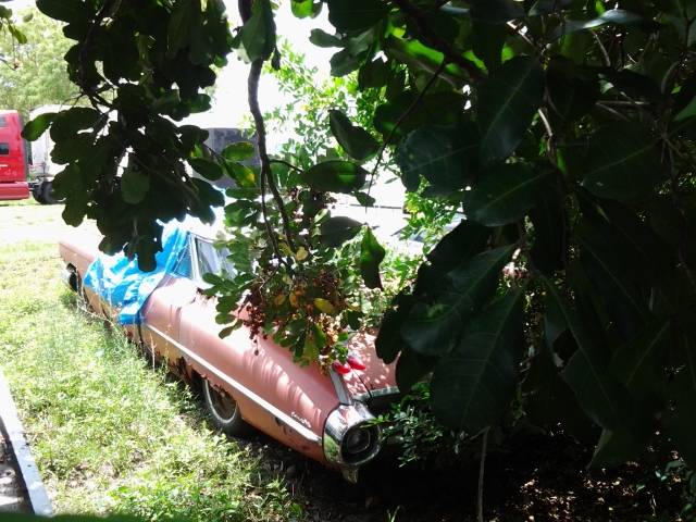20140615_134143.jpg