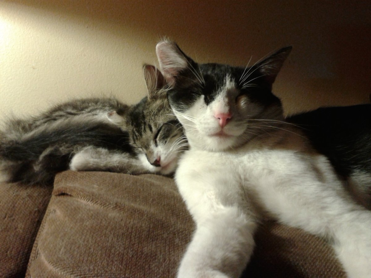 20140814_163431.jpg