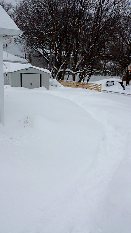 20150210_082743.jpg