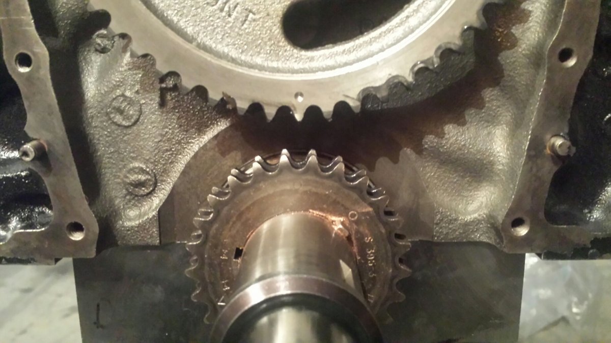 20150822_105521.jpeg