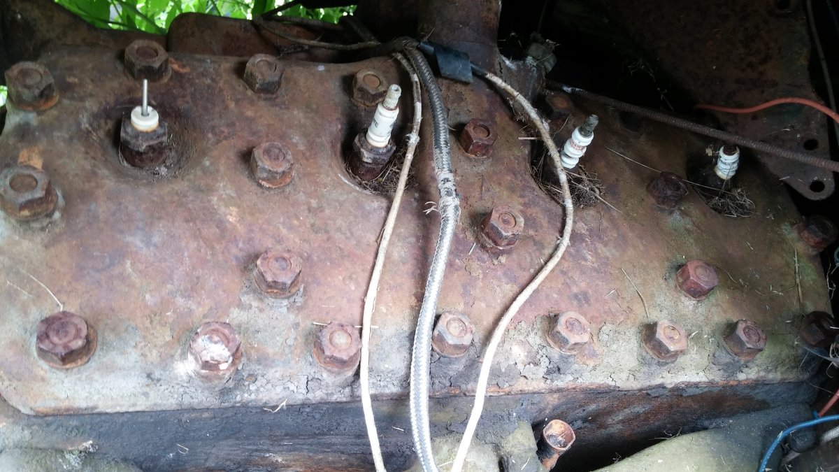 20150903_121448.jpg