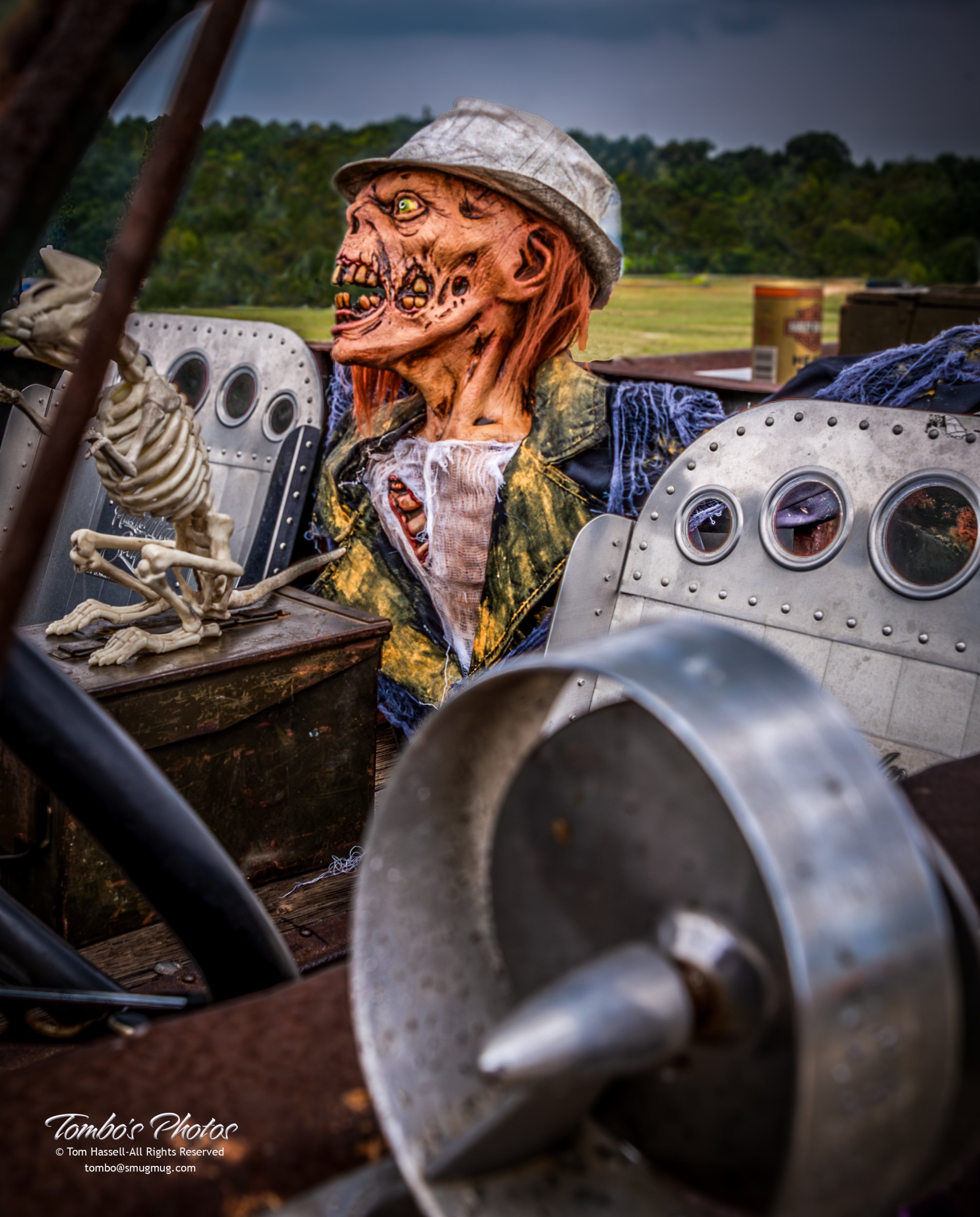 20150905_4826-Enhanced-NR-Edit-Edit-Edit.jpg