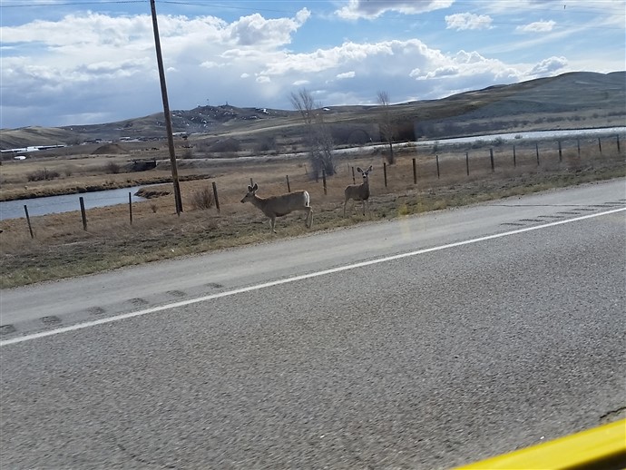 20160409_145629.jpg