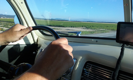 20160721_071657R.jpg