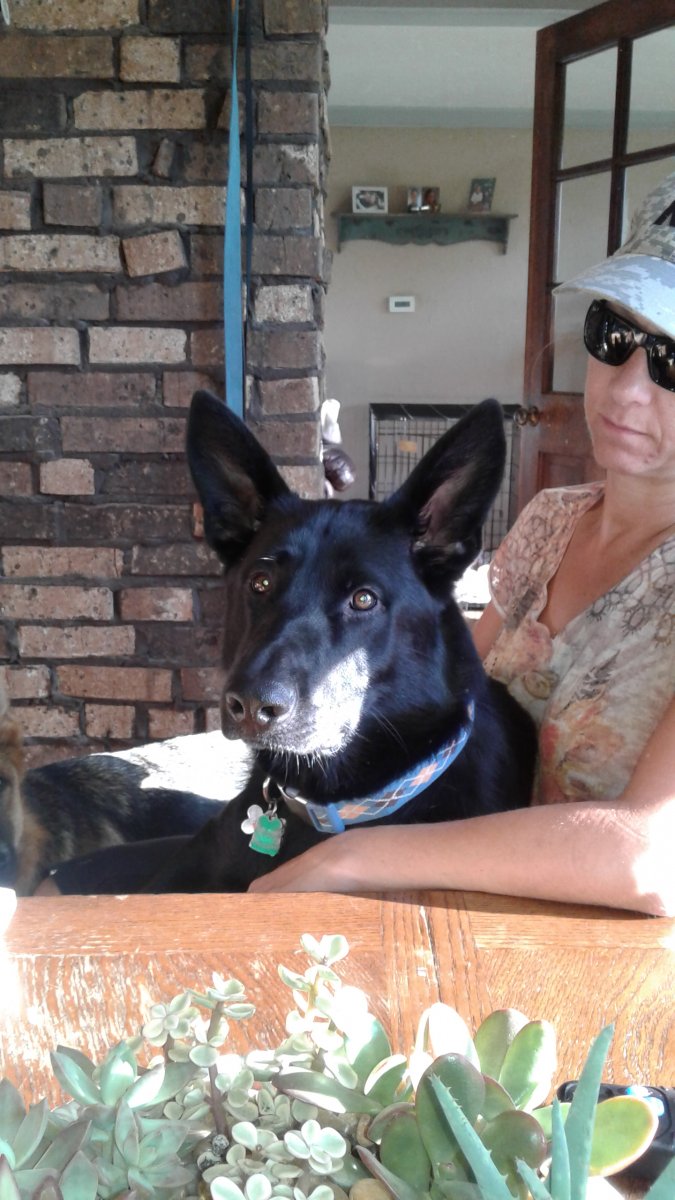 20160904_075156.jpg