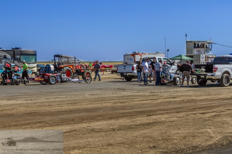 2016HAMBeaglefield015.jpg