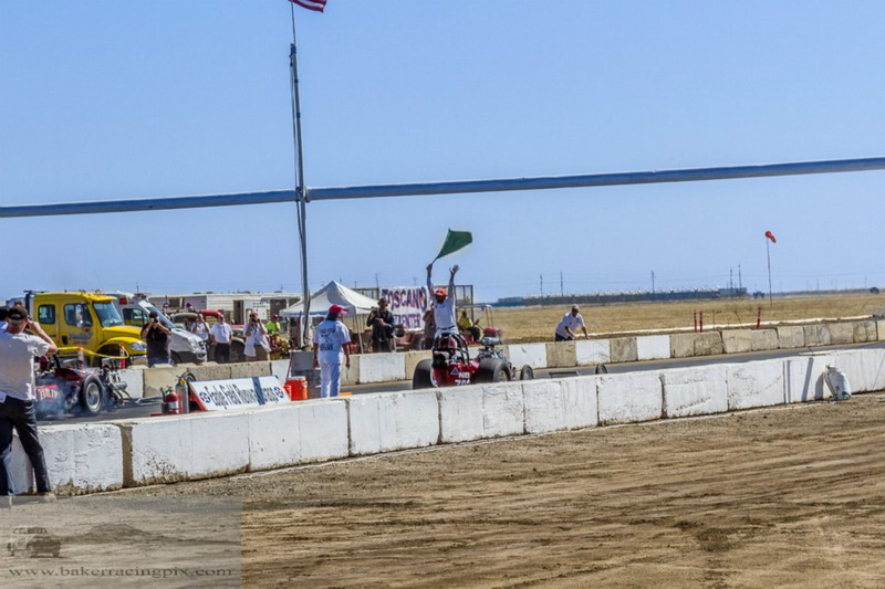 2016HAMBeaglefield017.jpg