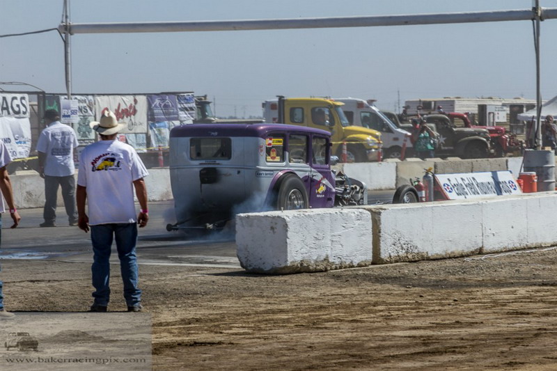 2016HAMBeaglefield018.jpg