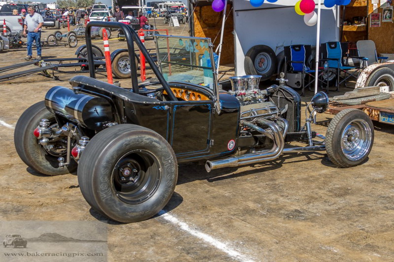 2016HAMBeaglefield021.jpg