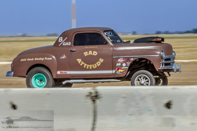 2016HAMBeaglefield026.jpg