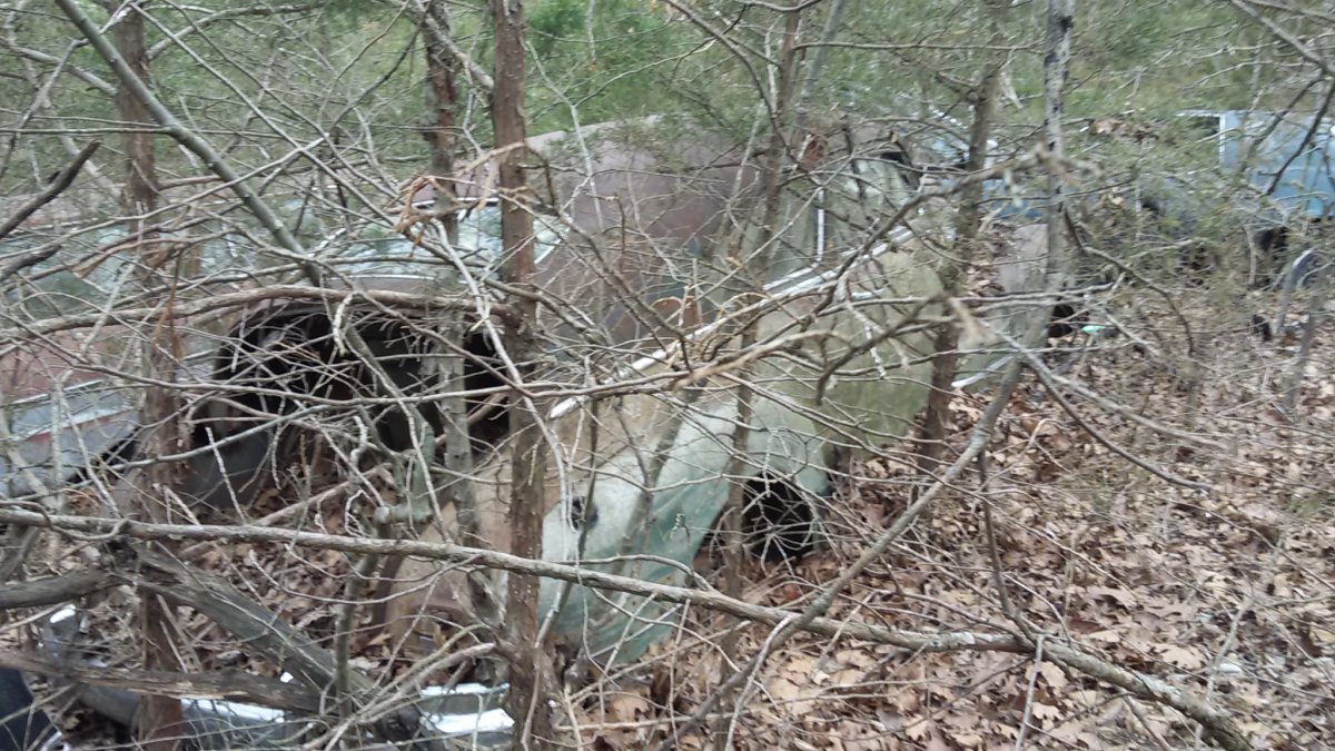 20170208_102029.jpg
