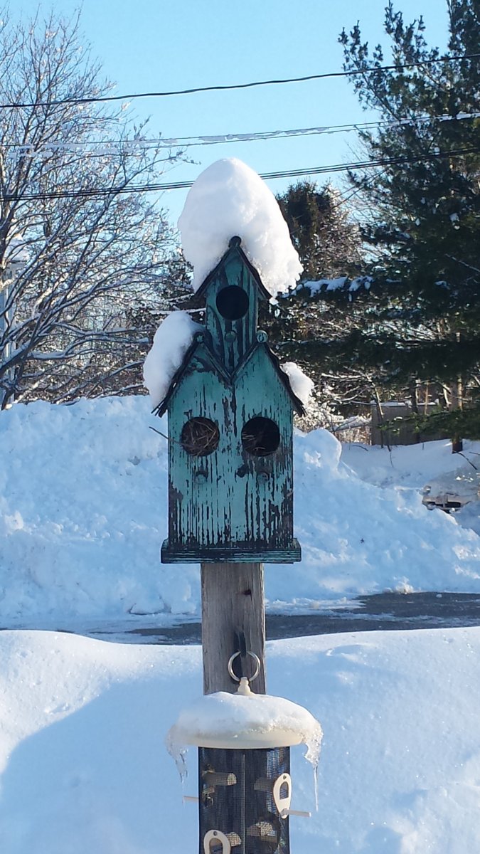 20170214_080748[1].jpg