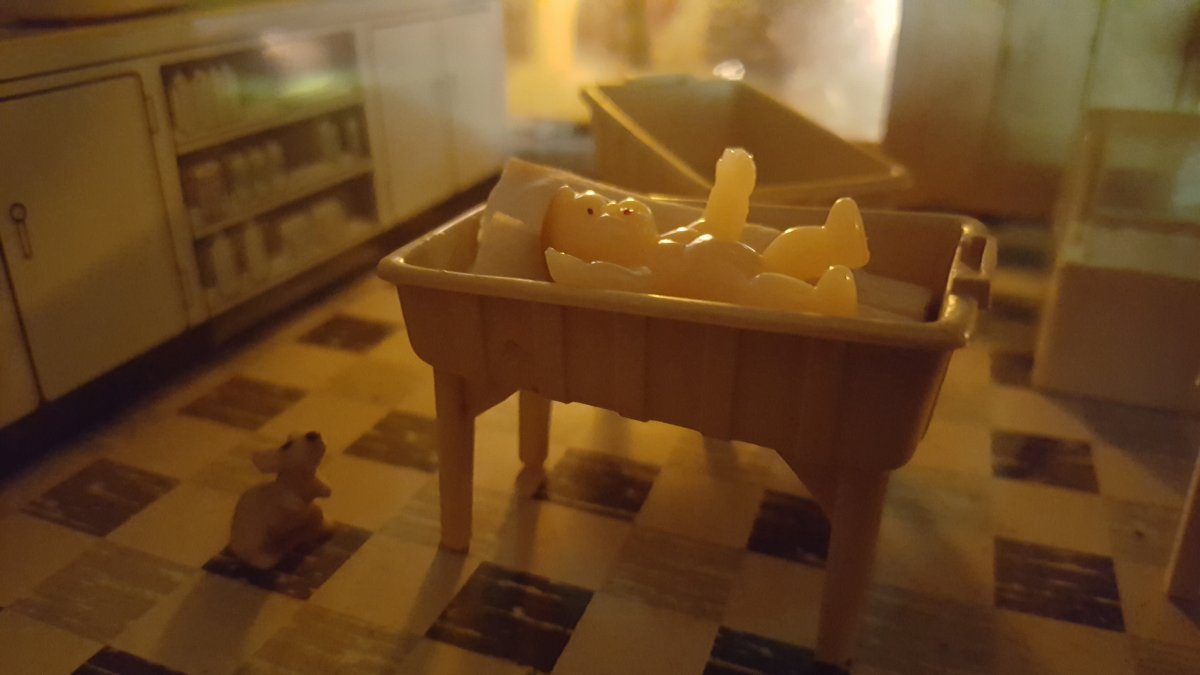 20171010_094637.jpg