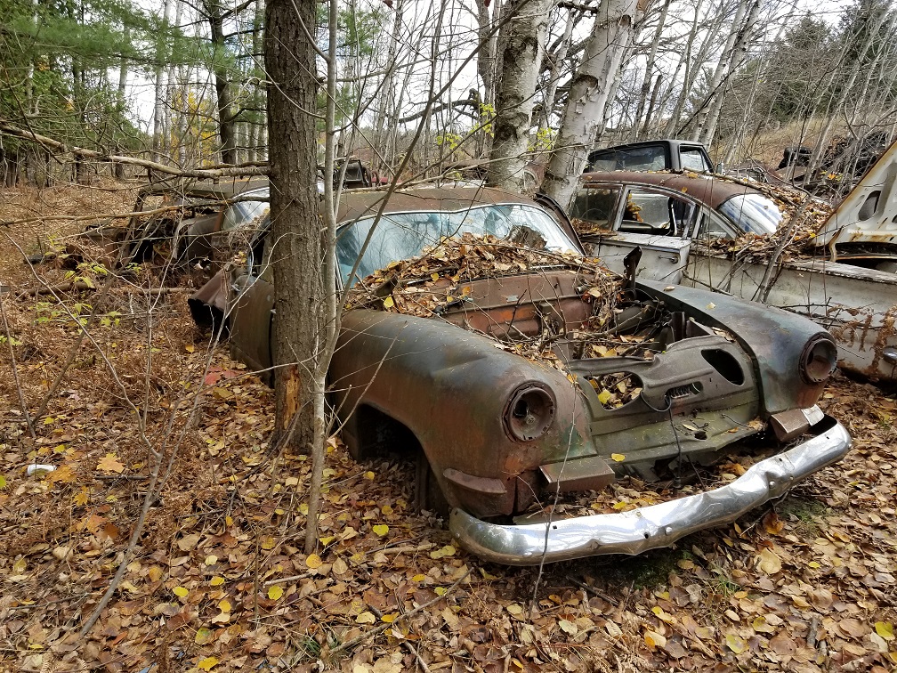 20171107_122050 - Copy.jpg