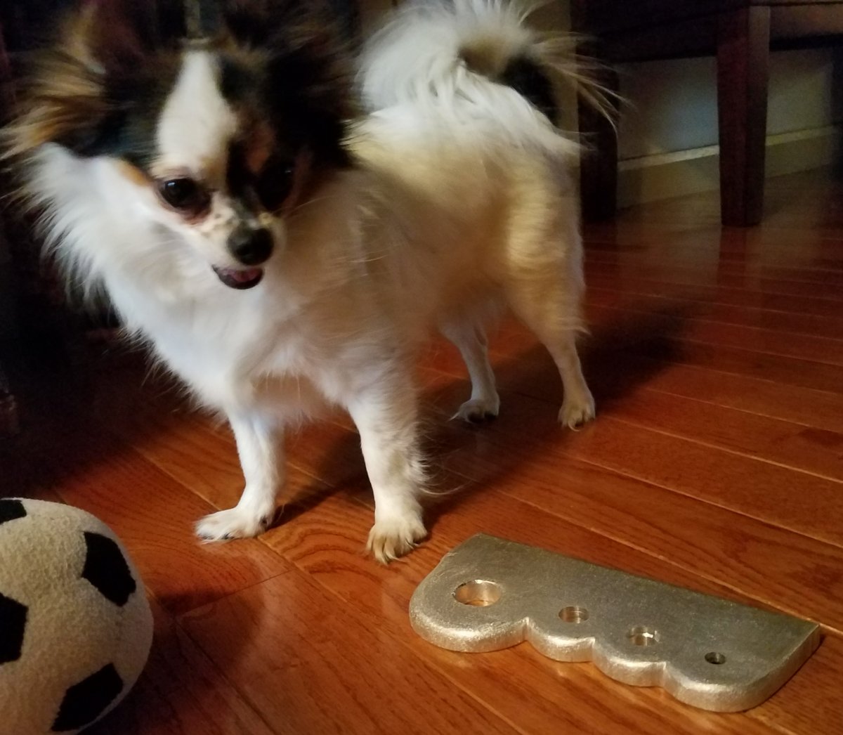 20180327_173104.jpg